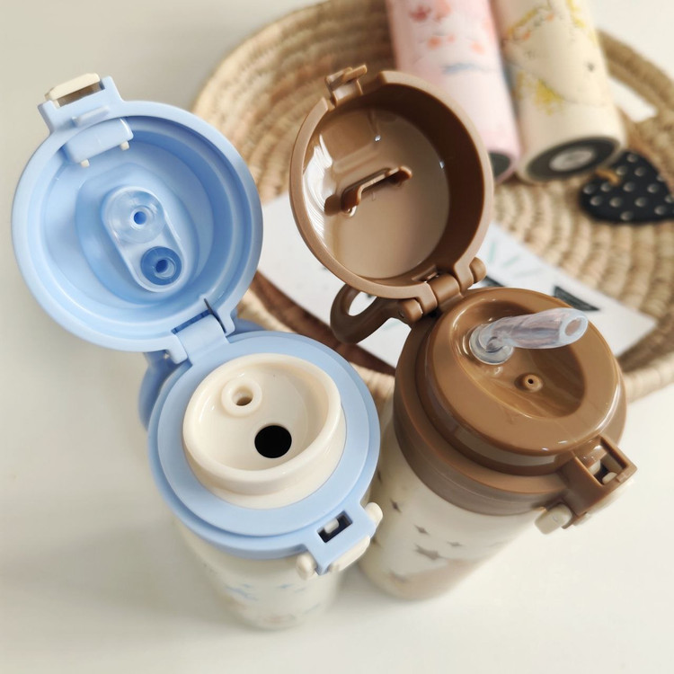 فلاکس دو حالته